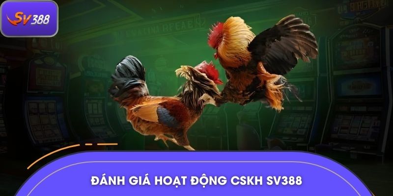 Đánh giá hoạt động CSKH SV388