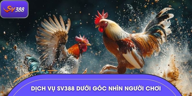 Dịch vụ SV388 dưới góc nhìn người chơi
