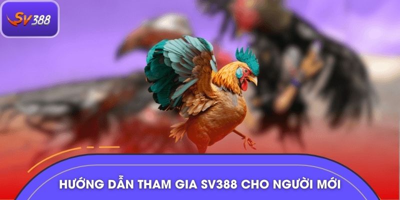 Hướng dẫn tham gia SV388 cho người mới