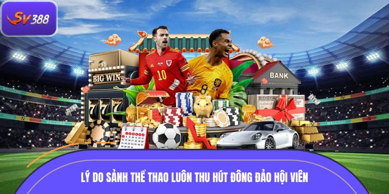 Những lý do sảnh thể thao luôn thu hút đông đảo hội viên